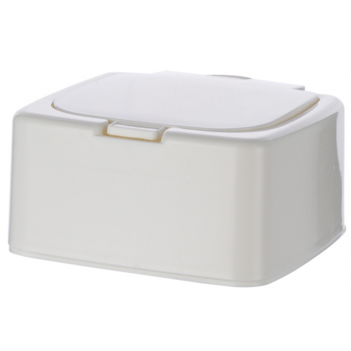 Mini caja de almacenamiento con tapa para escritorio PMY-15995