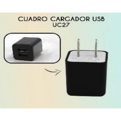 Cuadro cargador USB con dos entradas UC27
