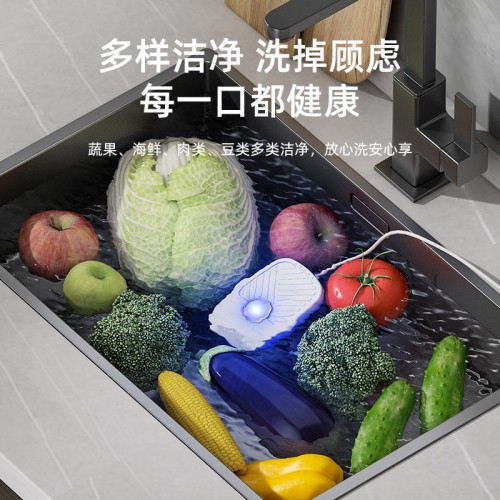 Lavadora de frutas y verduras 2586