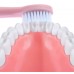 Cepillo de dientes eléctrico CEP27
