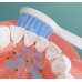 Cepillo de dientes eléctrico para adultos CEP34 
