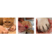 Lima de uñas para mascotas