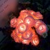 Luces led en forma de rosas SDD176