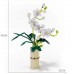 Set de Construcción de flores Phalaenopsis con maceta,  Lego de 588pcz TOY760