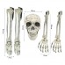 Set de 3pzs de cabeza y brazos de esqueleto de Decoración para halloween para el jardín WS193