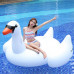 Asiento inflable de cisne blanco 150*150*100CM  YC302