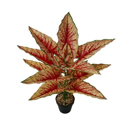 Planta Artificial Decorativa  Caladium  45cm SDD1225